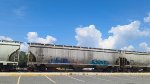 BNGX 31298
